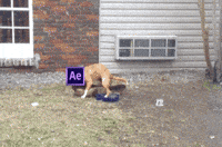 effects ram GIF