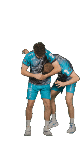 Deutschland Sticker by Volleyball Bundesliga