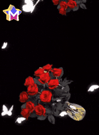 Amigos Flores GIF by Murcianys LLC
