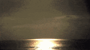 GIF by Giffffr