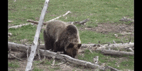 Education Biology GIF by DIIMSA Stock