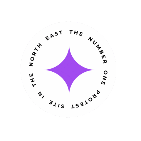 Thenortherngraphics giphyupload echo echoprotesting Sticker