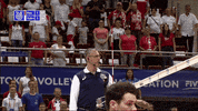 GIF by Volleyball World