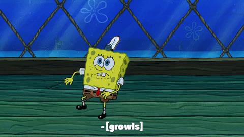 season 9 GIF by SpongeBob SquarePants