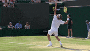 tennis serve GIF by Wimbledon