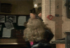 Miss Piggy Crash GIF by Muppet Wiki