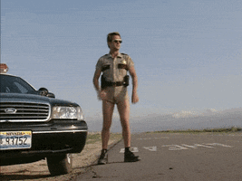reno 911 GIF