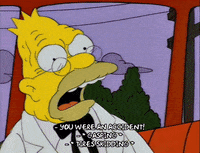 homer simpson episode 10 GIF