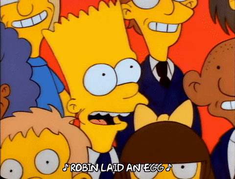 Season 1 GIF by The Simpsons