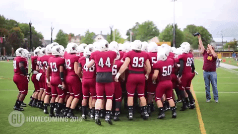 college football GIF by Gannon University