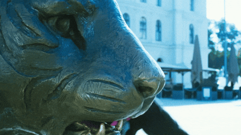 Yash GIF by Commune18