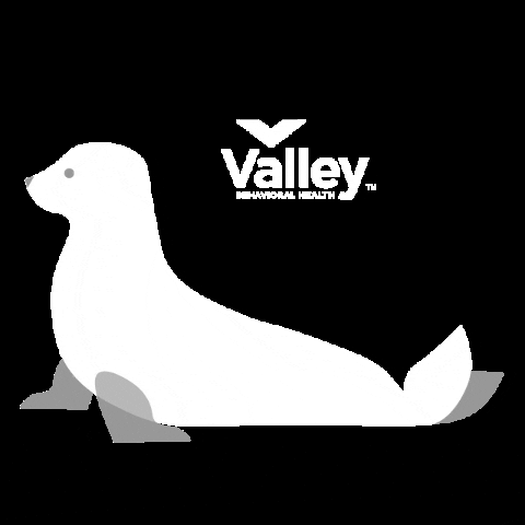 Valley Seal GIF by VBHcreative