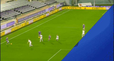 ArchiteuthisDux giphyupload GIF