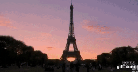 insight1 giphyupload GIF