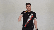 Rainbow Six No GIF by G2 Esports