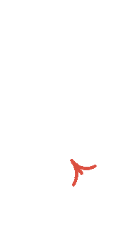 Click Red Arrow Sticker by Steves&Co