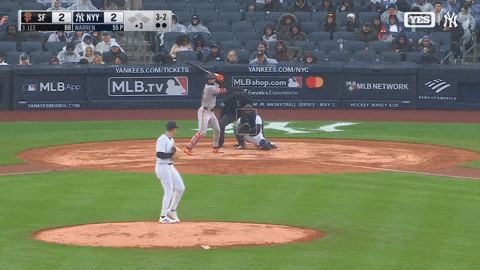 estee42 giphyupload GIF