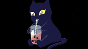 ByRegulus bubbletea gatito blackie byregulus GIF