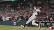 College World Series Homer GIF by Arkansas Razorbacks