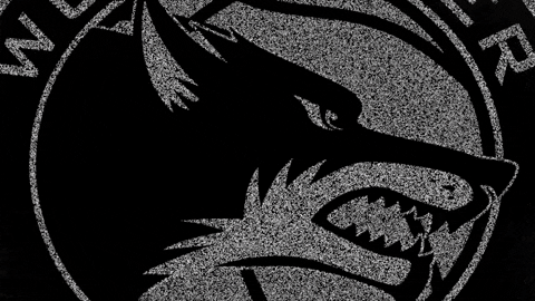Celebrate Wolf Pack GIF by Worcester Wolves