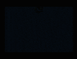 Pokemon Emerald GIF by Pokémon