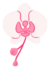 Pink Blooming Sticker by Anne Jotun