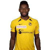 Jean-Pierre Nsame Celebration Sticker by BSC Young Boys