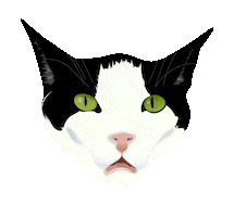 Mood Cats Sticker by Green Child Magazine