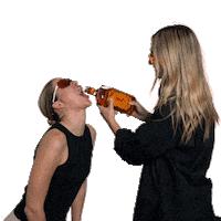 Fireball Sticker by Two Palms