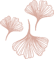 Ginkgo Biloba Plant Sticker by StampIt