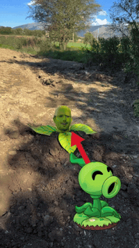 Plants Zombies GIF by Youtooz