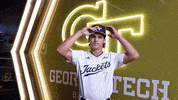 Georgia Tech Baseball GIF by Georgia Tech Yellow Jackets