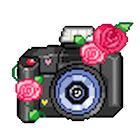 Flower Photography Sticker