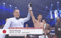 toprank fight boxing fighting espn GIF