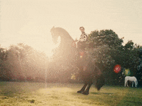 Daylight GIF by Harry Styles