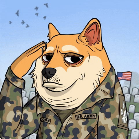 Us Army Salute GIF by Doge Pound