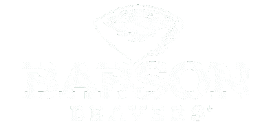 Sport Go Sticker by Babson College