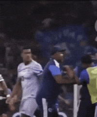 Galo GIF