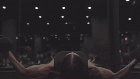 GIF by Row Republic