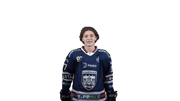 Ice Hockey Sticker by Fehervar AV19