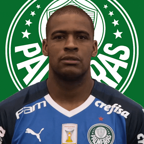 Palmeiras giphyupload soccer eye blink GIF
