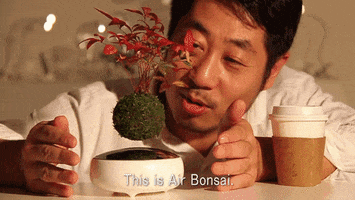air bonsai GIF by Product Hunt