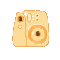 Home Camera Sticker