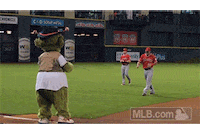 hou GIF by MLB