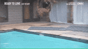 Will Packer Rtl GIF by OWN: Oprah Winfrey Network
