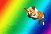 rainbow GIF