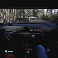 Chile Driving Fast GIF by FIA World Rally Championship
