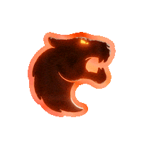 Riot Games Esports Sticker by VALORANT