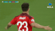 Euro 2020 Love GIF by MolaTV