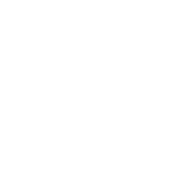 New Year Star Sticker